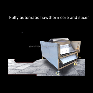 Shanlihong เครื่องหั่นฮอว์ธอร์นอัตโนมัติเต็มรูปแบบพร้อมการกำจัดแกนส่วนประกอบมอเตอร์สภาพใหม่ - Product Image 4