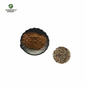 Extrait d'Agrimony (Agrimonia <span class=keywords><strong>Eupatoria</strong></span>) 10:1, Poudre d'Herbe Naturelle Concentrée de Qualité Alimentaire Liaoning pour Complément Alimentaire - Product Image 3