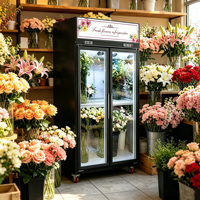 Réfrigérateur de présentation de fleurs MUXUE Doors, présentoir de fleurs, réfrigérateur de magasin de fleurs MX-XHG1260F, deux vitrines, noir, peinture en acier, 1000L