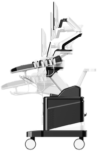 Dawei Dier Doppler Echografie Machine Hond Veterinaire Echografie Machine Voor Honden