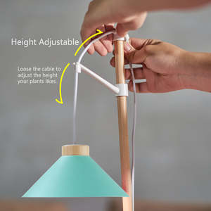 Kit de culture de <span class=keywords><strong>cactus</strong></span> avec lampe de table à base en bois réglable en hauteur J&C Minigarden 9w, kit de démarrage de jardin d'herbes écologique - Product Image 3