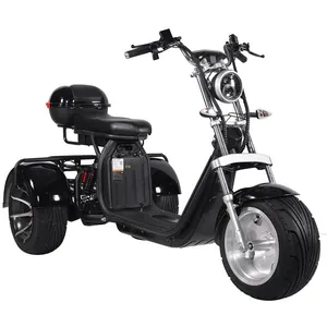 Neues Modell Dreirad Roller Motorrad 1500w/2000w/3000W 60v Elektro roller Dreiräder Motorrad Citycoco