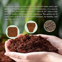 Busa Tanam Coco Peat Terbaik untuk Perbanyakan Tanaman, Kloning, Hidroponik, Pot Dalam Ruangan, 105 Pcs/Kantong