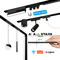 Luz de pista de mejor precio, colgante de techo lineal Led magnético, luces de bola de tubo magnético, 2 rieles de alambre, pista magnética ultradelgada