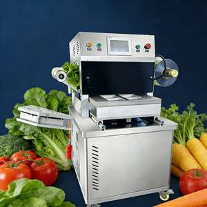 Máquina de Sellado y Envasado en Atmósfera Modificada (MAP) con Inyección de Gas para Carne y Alimentos Cocinados Listos para Comer, Automática y Eléctrica - Product Image 3