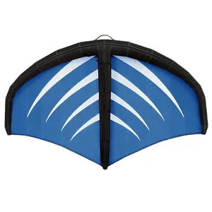 Commercio all'ingrosso Moq basso facile da trasportare sport acquatici 2m/3m/4m/5m/6m palmare gonfiabile Wingfoil vela aquilone ala stagnola Kitesurf