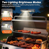 Lampe de barbecue LED rechargeable 360° portable avec design magnétique pour grillades en extérieur