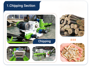 RichI สายการผลิตเม็ดไม้อุตสาหกรรมขนาด1ตันสำหรับใช้ในโรงงาน - Product Image 2