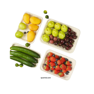 Plateau de bagasse de canne à sucre rectangulaire de haute qualité Plateau de service intelligent 2D Solution de service alimentaire à domicile durable populaire pour l'exportation - Product Image 4