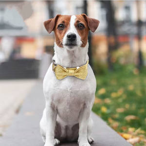 Collares de Adiestramiento para Perros Personalizados al por Mayor, Hebilla de Metal Ajustable, Materiales de Aleación de Nailon y PU, Cintas Decoradas, Logotipo Personalizado - Product Image 4