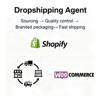 Agent d'achat Shopify, Services de Traitement des Commandes 1688 Taobao, Dropshipping, Achat Express, Expédition, Foulard en Soie