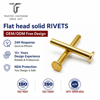 Rivets plats personnalisés TianFang pour boîtiers d'éclairage, en aluminium peint, conception OEM ODM et approvisionnement en gros