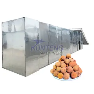 Séchoir commercial automatique Machine à sécher les abricots Séchoir à fruits Déshydrateur alimentaire