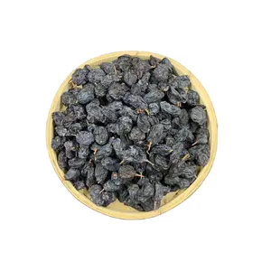 Yulin Nord Top Grade Black Currant Raisins Natural Large and Sweet Taste Bulk Dried Fruits From China