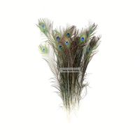 Plumes de paon à œil enfilé naturel à vendre fête carnaval maison mariage pièce maîtresse noël Vase vacances décor bricolage artisanat Floral