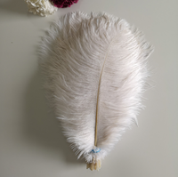 Offre Spéciale Plumes d'autruche artificielles blanches 55-60 cm, longues et naturelles, pour fêtes et mariages, vente en gros à prix abordable