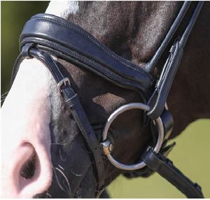 บังเหียนแบบ Anatomic Snaffle คุณภาพสูง พร้อมสายรัด Flash หนังนุ่ม ปรับได้ อุปกรณ์ฝึกม้า - Product Image 6