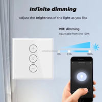 Gradateur intelligent WIFI standard européen 86 panneaux Télécommande à temps contrôlé Langue Alexa avec IP66 Max. Tension 220v