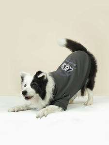 Accogliente elegante cappotto per cani in maglia personalizzato comodo abbigliamento autunnale modello solido per il tempo libero dal grossista del produttore della Cina - Product Image 5