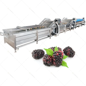 Automatic Potato Cleaning Tca Commerical Bubble Vegetable and Fruit Water Spray Washing Machine in Turkey