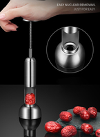 Syh236 Outil de dénoyautage en acier inoxydable pour dattes rouges, jujubes, cerises et olives, pour la cuisine domestique, accessoire de retrait des noyaux et des pépins