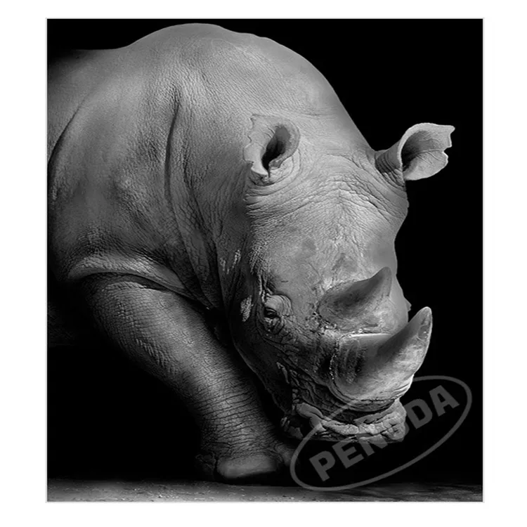 Black White Canvas Painting Animal Art Posters Wall Pictures for Living Room Decoration