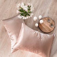 Taie d'oreiller carrée en soie de mûrier rose, taille personnalisée, luxe OEM/ODM, faible MOQ, 19 mommes, pure soie, pour usage domestique