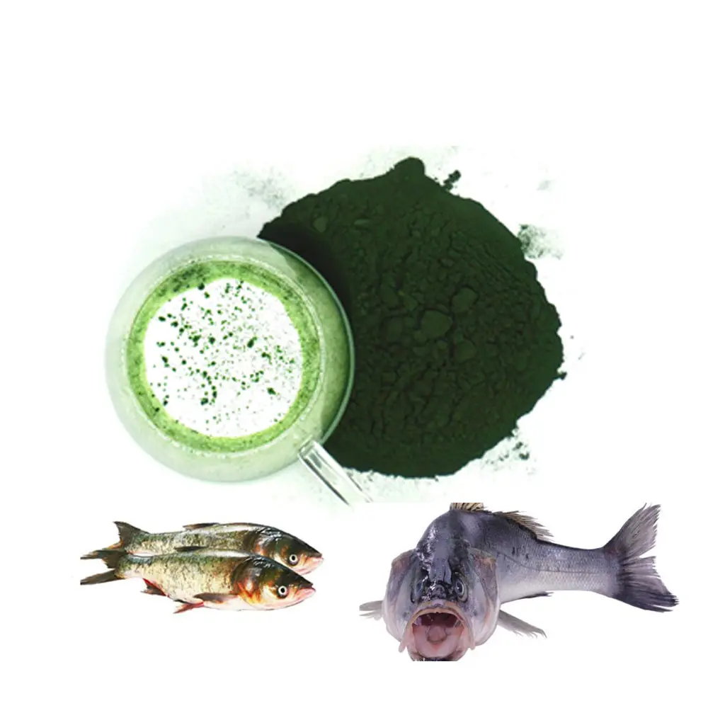 Bột Tảo Spirulina Protein Chất Lượng Cao Hàng Đầu Cho Thức Ăn Cho Cá