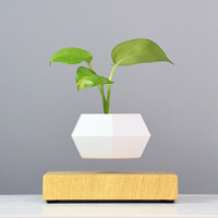 Venta caliente levitación magnética Base de madera maceta levitante bonsái flotante maceta hogar Oficina decoración planta en maceta