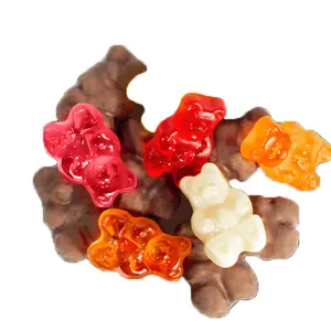 Groothandel Custom Bulk Assortiment Fruitige Regenboog Chocolade Gecoat Gummy Bear