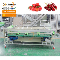 Lonkia Verse Citroengroente Sorteermachines Voor Fruit Sorteermachines Sorteermachine