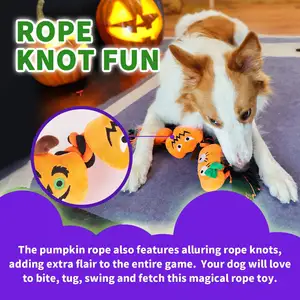 2024 AFP 1 karton cadılar bayramı serisi Pet köpekler kediler oyuncaklar köpek gıcırtılı çiğneme halat oyuncak kedi Teaser değnek oyuncak köpekler ve kediler için oynarken - Product Image 5