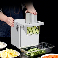 Coupe-légumes commercial transfrontalier 220V/110V grand diamètre écologique, modèle de comptoir pour trancher les carottes, les oignons et les pommes de terre