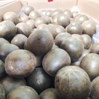 Fournisseur de source Vente en gros Price100 % Naturel Luo Han Guo Momordica Grosvenori Fruits de moine séchés pour la cuisine ou le thé
