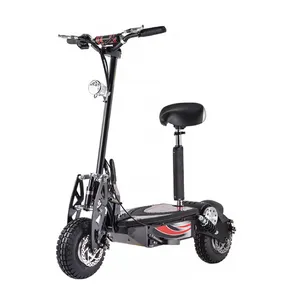 EU Warehouse Off Road Electric Mobility Scooter 10 Inch Fat Tire Folding Electric Motorcycle For Adult E-scooter With Seat