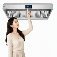 Nouveau Purificateur Statique d'Huile et de Fumée Intégré en Acier Inoxydable 304 Haute Efficacité 4000 m³/h pour Filtre à Fumée de Cuisinière