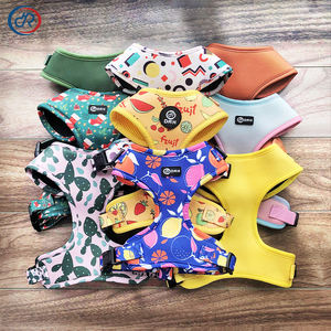 Arnés y Correa para Perro Pequeño, Bonito y Transpirable, de Neopreno Ajustable, Kit de Paseo para Cachorros, para Viajes al Aire Libre - Product Image 2