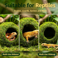 Caverne de simulation en mousse pour reptiles, abri humidifiant, habitat pour serpents, lézards, geckos, décoration de terrarium et de vivarium