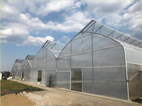 Grande Serre Gothique pour l'Agriculture Multi Span Poly Film Low Cost PE Material Sale pour Grande Serre Gothique