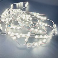 Module LED extérieur IP68 DC12V 24V 1.5w 69*15MM SMD 2835 3LEDs Lumière blanche froide Boîte d'injection de lumière LED pour enseignes publicitaires