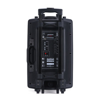Altavoz de Karaoke NDR-12, Bafle Bluetooth, Haut-Parleur con Micrófono, Altavoz de Karaoke de 12 Pulgadas para Fiestas al Aire Libre con Micrófono y Bluetooth