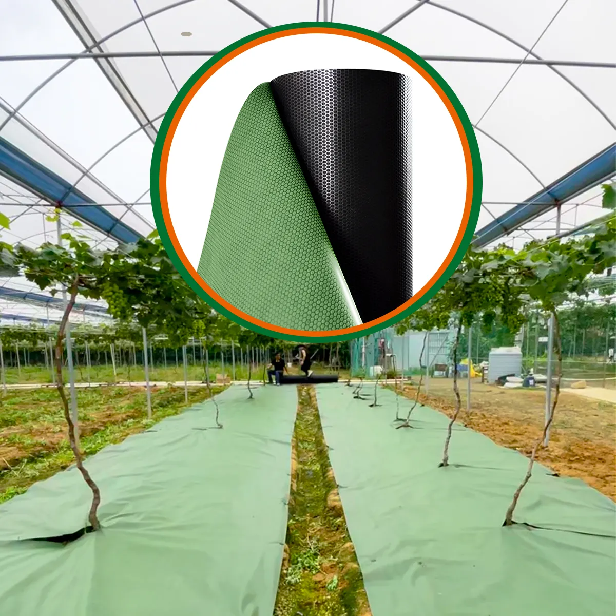 Enongarden Weed rào cản 9.8ft x164ft Polypropylene sinh thái thân thiện 3m x 50m phân hủy sinh học Weed rào cản vải