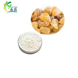 ボスウェリアセラータ抽出物天然バルク65% ボスウェリン酸粉末 - Product Image 1