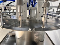 Machine de remplissage et de bouchage automatique à grande vitesse pour sachets à bec verseur de détergent et de shampoing à double tête
