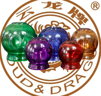 Nuage Dragon 5 couleurs différentes, tasses à feu chinoises, gobelets en verre, bocal de thérapie Hijama en verre, ensemble de ventouses sous vide