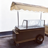Congélateur d'affichage à chariot poussé à la main Gelato et gâteau de type combiné