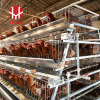 Cage à poules pondeuses automatique de type A, 3 niveaux, en acier galvanisé, avec système d'alimentation et d'abreuvement, collecte d'œufs, courroie de fumier et abreuvoir à tétine, OEM