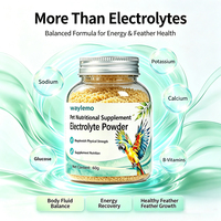 Poudre d'électrolytes Waylemo, produits de santé pour animaux de compagnie pour l'hydratation et la récupération, compléments et vitamines pour chiens, chats, oiseaux, 60g