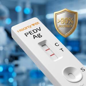 Kit di Test Rapido Integrato per la Bio Sicurezza Suina PEDV-Ag, Identificatore Affidabile dell'Antigene della <span class=keywords><strong>Diarrea</strong></span> Epidemica Porcina, Rilevamento Precoce - Product Image 4