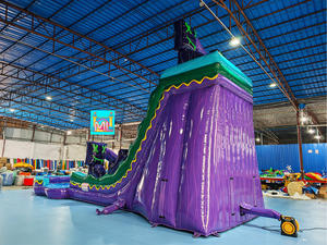 Toboganes de Agua Inflables Comerciales <span class=keywords><strong>para</strong></span> Adultos con <span class=keywords><strong>Piscina</strong></span> en Venta - <span class=keywords><strong>Comprar</strong></span> Tobogán de Agua Inflable - Product Image 2